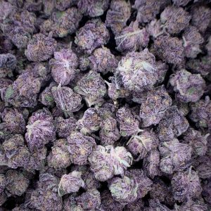 Buy Northern Lights Delta-9 THC Flower Wholesale | Bulk Delta-9 Flower for Sale