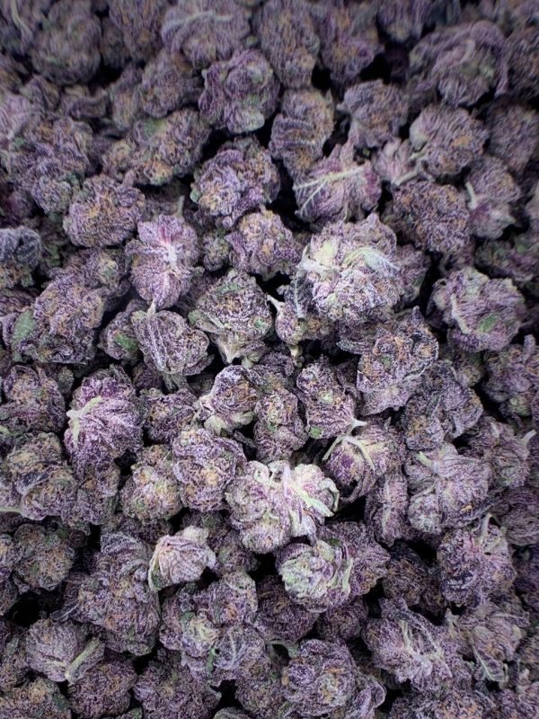 Buy Northern Lights Delta-9 THC Flower Wholesale | Bulk Delta-9 Flower for Sale